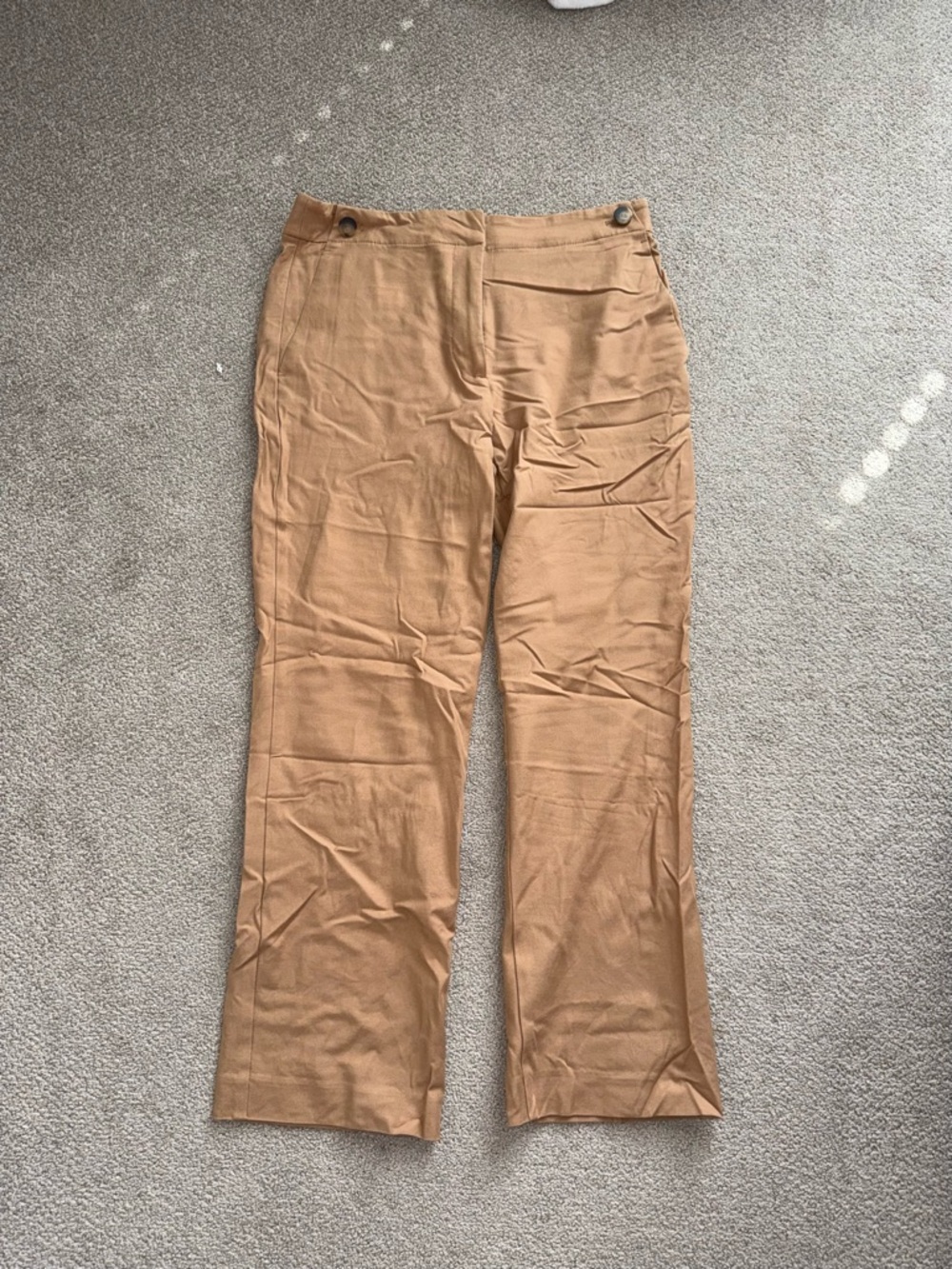 Ann Taylor Dress Pants
